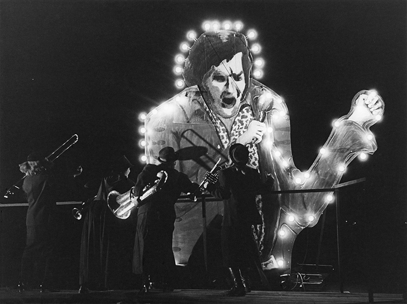 1978 - ELVIS ROCKGARDEN &copy;Oda Sternberg