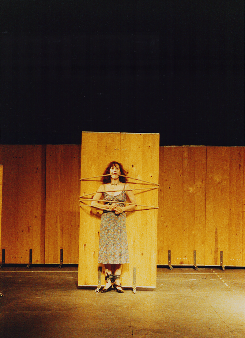 1990 - DER WIDERSPENSTIGEN Z&Auml;HMUNG (Eva Dietzfelbinger)&copy;FTM