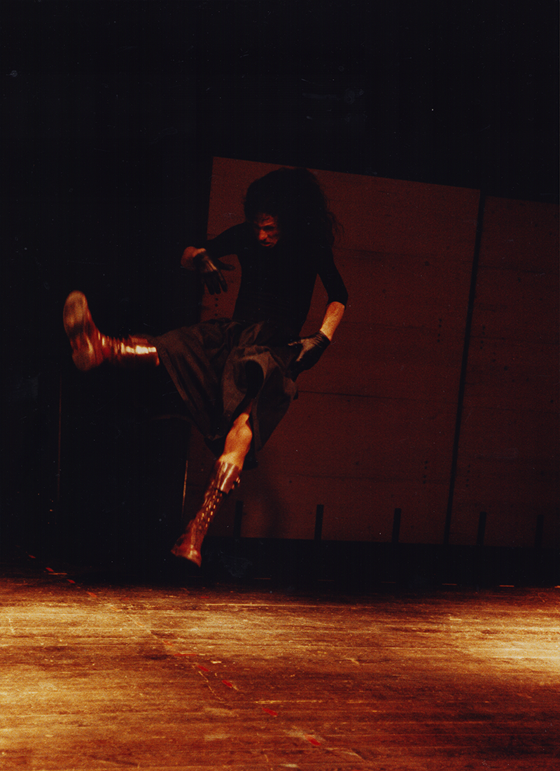 1991 - MEDEA (Kurt Bildstein)&copy;FTM
