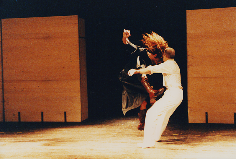 1991 - MEDEA (K Bildstein, R Behling)&copy;FTM