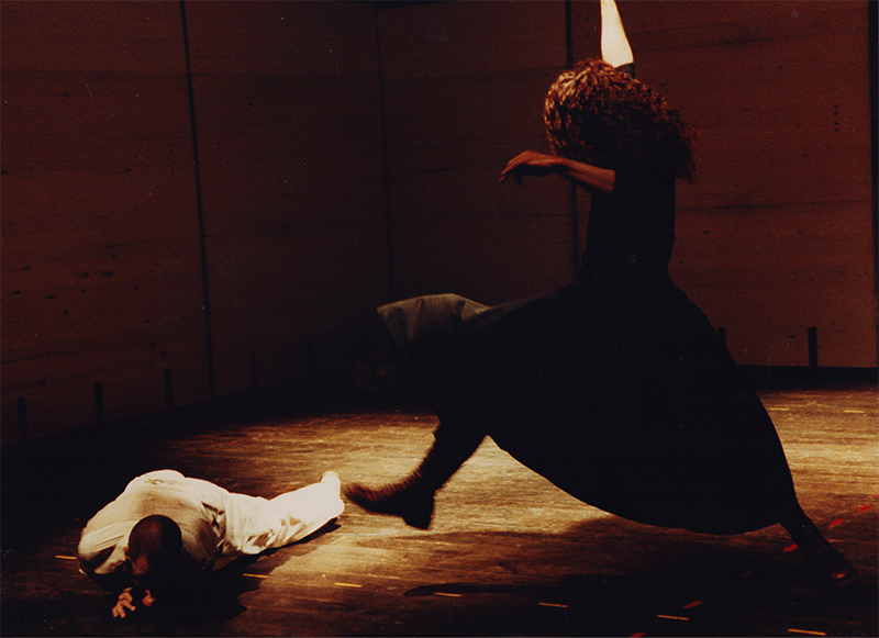 1991 - MEDEA (R Behling, K Bildstein)&copy;FTM