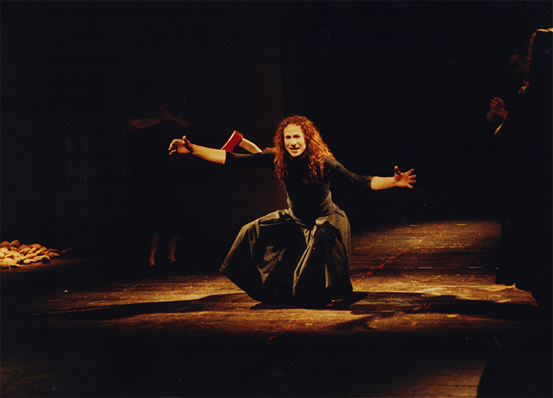 1991 - MEDEA (Kurt Bildstein)&copy;FTM