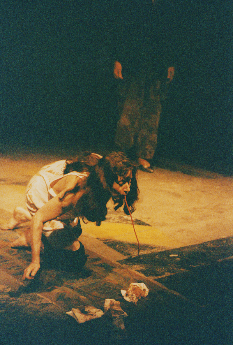 1997 - VON GOETHE DE SADE 44(Eva Diezfelbinger, Kurt Bildstein)&copy;FTM