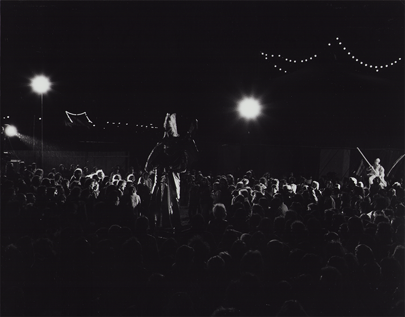 1978 - ELVIS ROCKGARDEN, Theaterfestival M&uuml;nchen (Monster)&copy;V Giesche