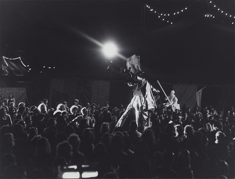 1978 - ELVIS ROCKGARDEN, Theaterfestival M&uuml;nchen(Monster)&copy;Oda Sternberg