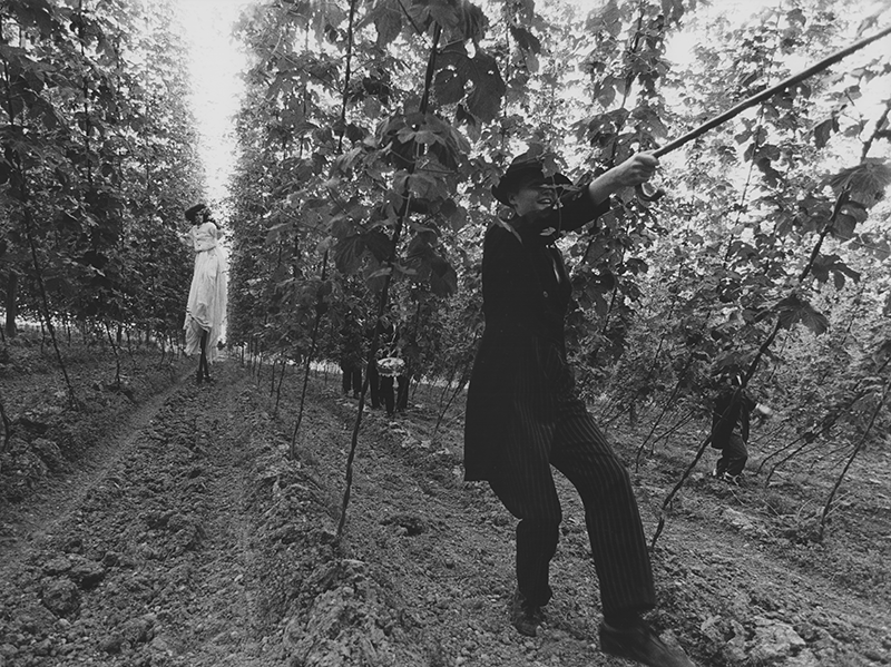 1980 - Dorffest, im Korn und Hopfen (Siegi Maschek, Katharina Voss) &copy;Giesche